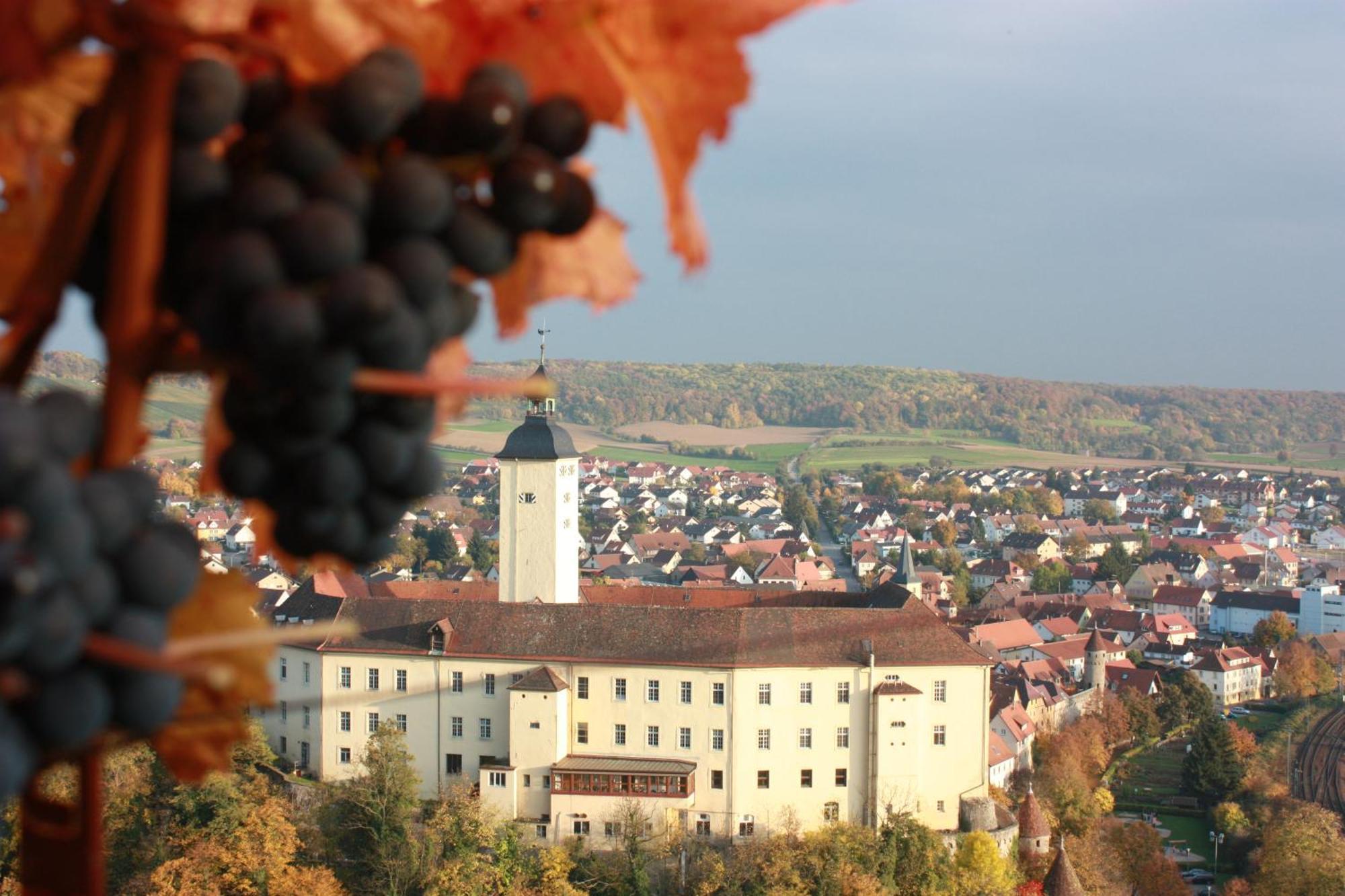 Schell Schokoladen Hotel Gundelsheim  Luaran gambar